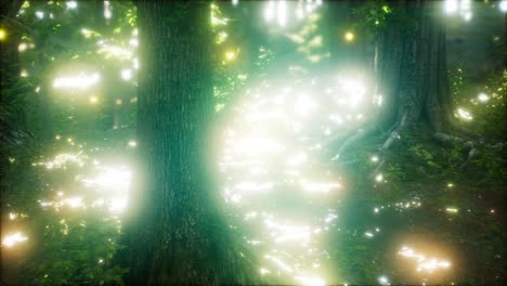 Firefly-Flying-in-the-Forest